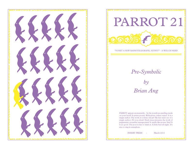 Parrot 21 Pre-Symbolic